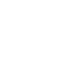 Operational Execution